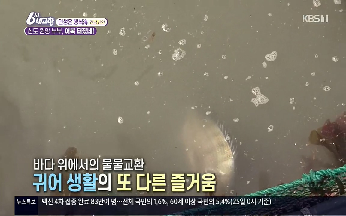 6시 내고향.E7518.220426p.H264-F1RST.mp4_20220504_192454.042.jpg