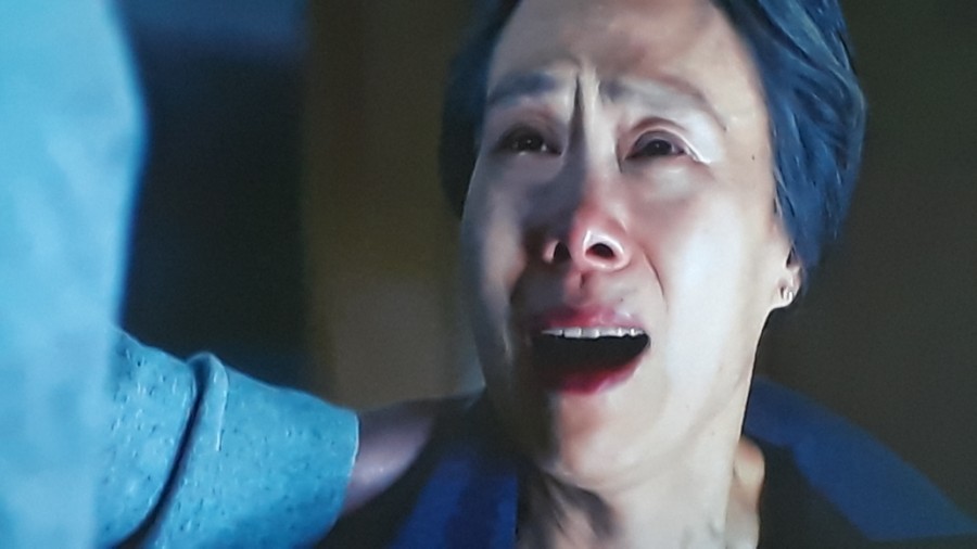 침입자(2019) 미스터리 공포 스릴러 한국영화 102분 감독 송원평 출연 송지효 김무열 예수정 최상훈 서희정 22