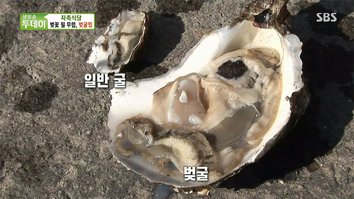 성호횟집식당 이미지