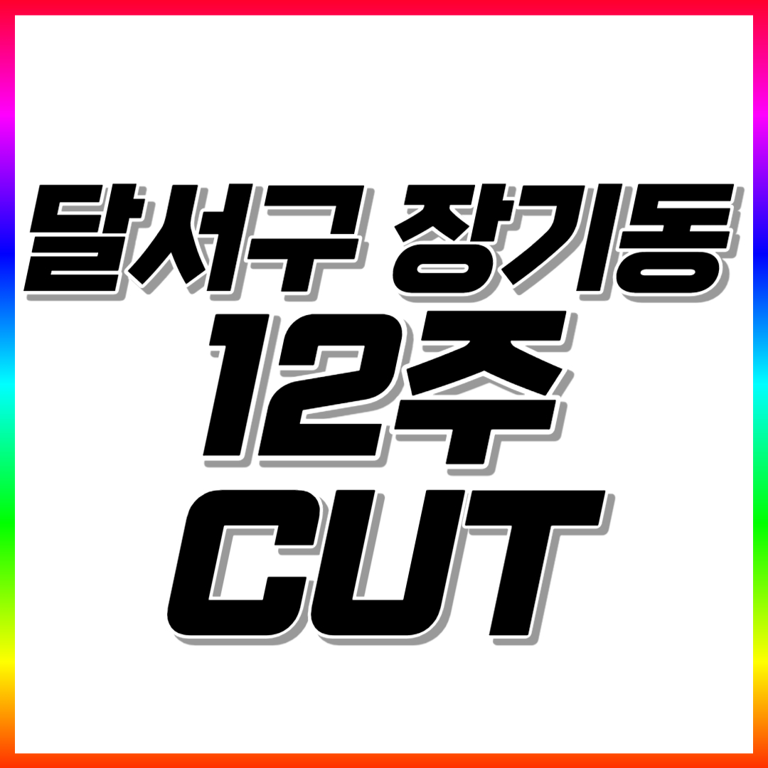  달서구 초등 수학과외 장기동 고등 중학생 영어과외 전과목 일대일 맞춤수업 공부법 코칭수업