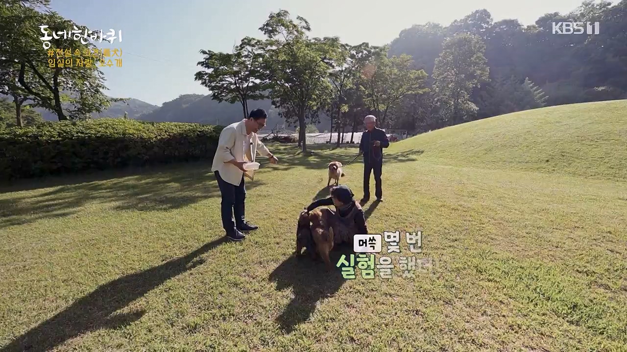 동네 한 바퀴.E276.240602p-NEXT.mp4_20240602_162335.443.jpg