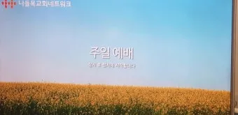 봄 주일예배 ppt 배경화면 꽃 이미지_17