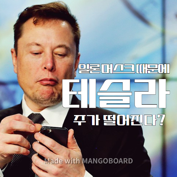  일론 머스크 때문에 테슬라 주가 가격이 떨어진다?