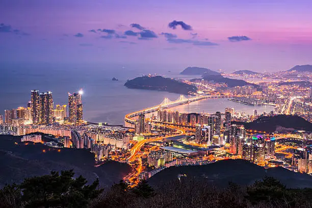 부산국제영화제 개막식 예매