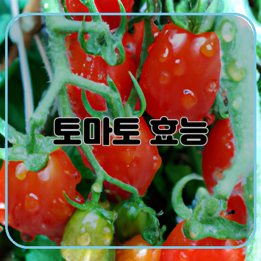 건강한-혜택-토마토-알아봅시다