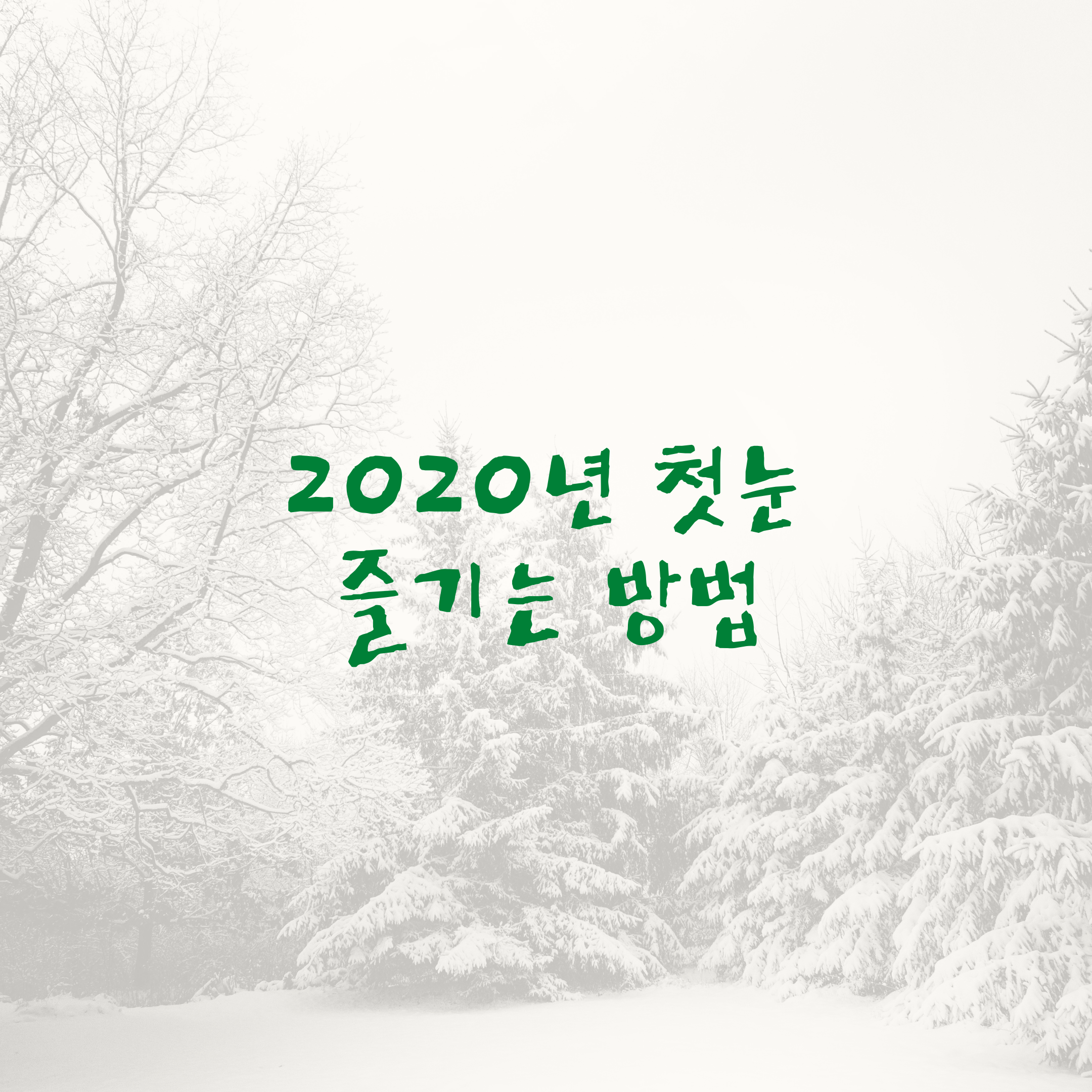  2020년 첫눈 즐기는 방법