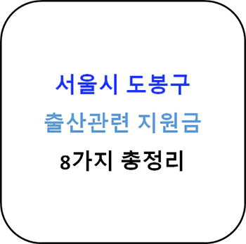  2024년 서울시 도봉구 출산지원금 8종 완벽 가이드