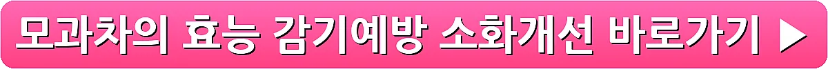 모과차의 효능 감기예방 소화개선_19