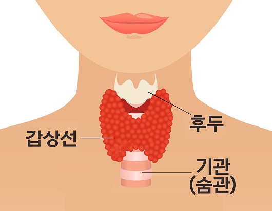 Thyroid neck image