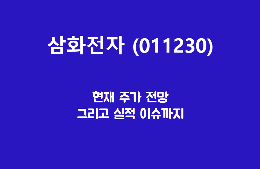  삼화전자 (011230) 희토류만 없으면 내 세상?
