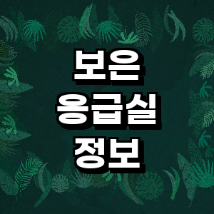 보은군 응급실