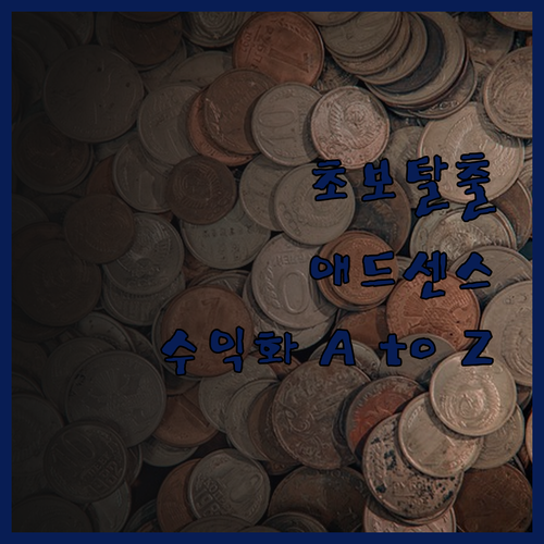 블로그 초보 탈출, 애드센스 수익화 
