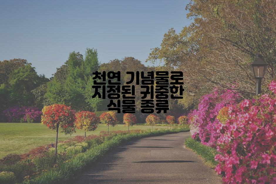 천연 기념물로 지정된 귀중한 식물 종류