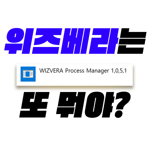 wizvera process managsef.