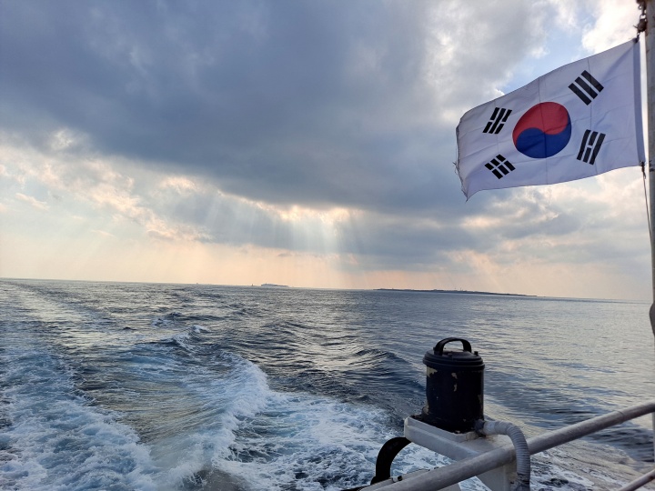 제주배