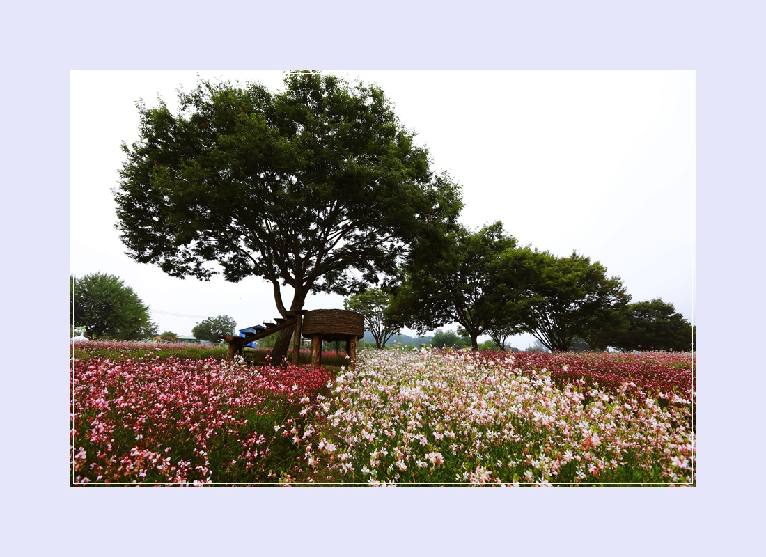 도담행복마을 이미지