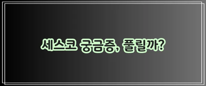 세스코 답변 궁금증을 모두 모았습니다!