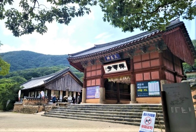 청보리축제_2023 고창청보리밭축제 16