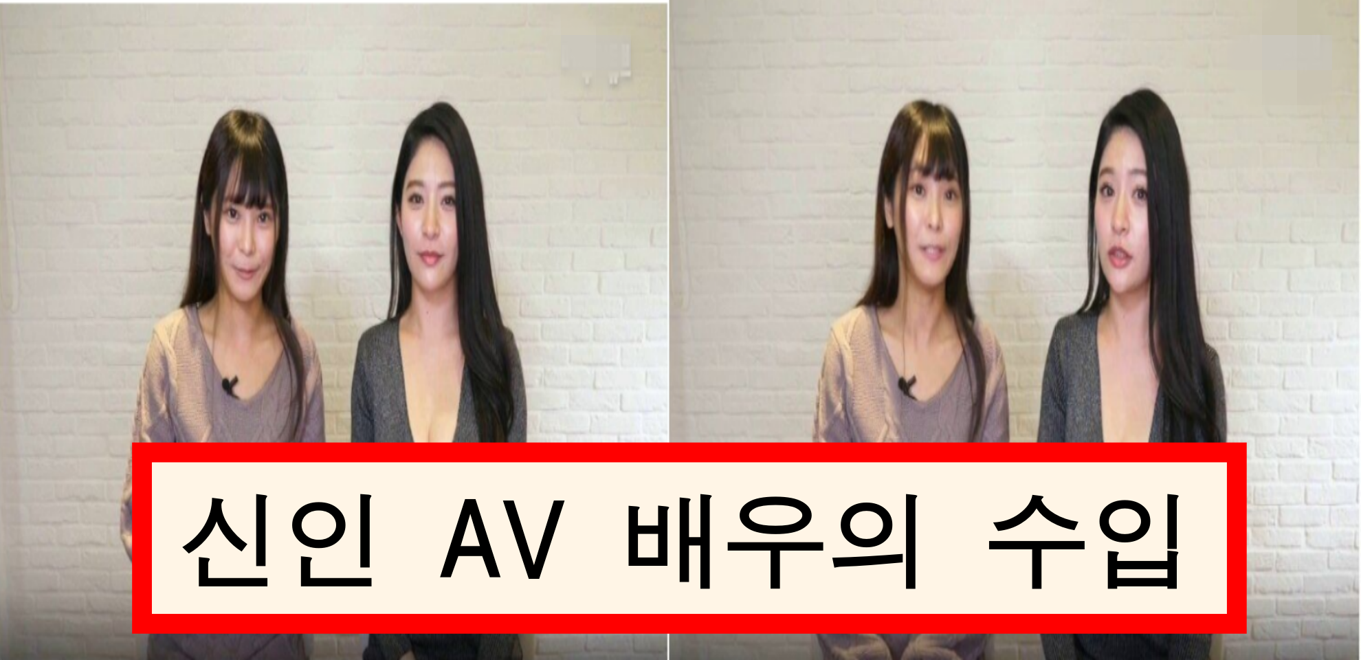  안이쁜 신인 AV 배우들 수입