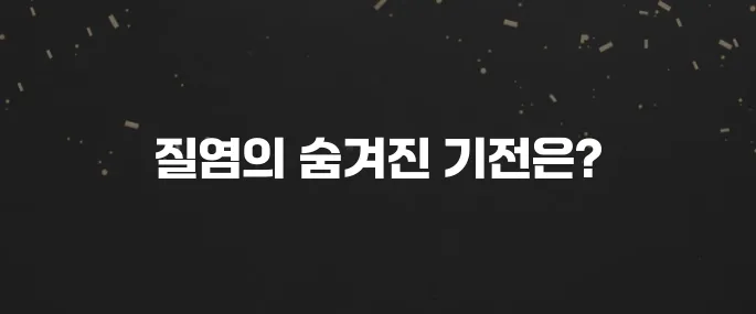여성 칸디다 질염 증상, 원인, 치료법 총정리