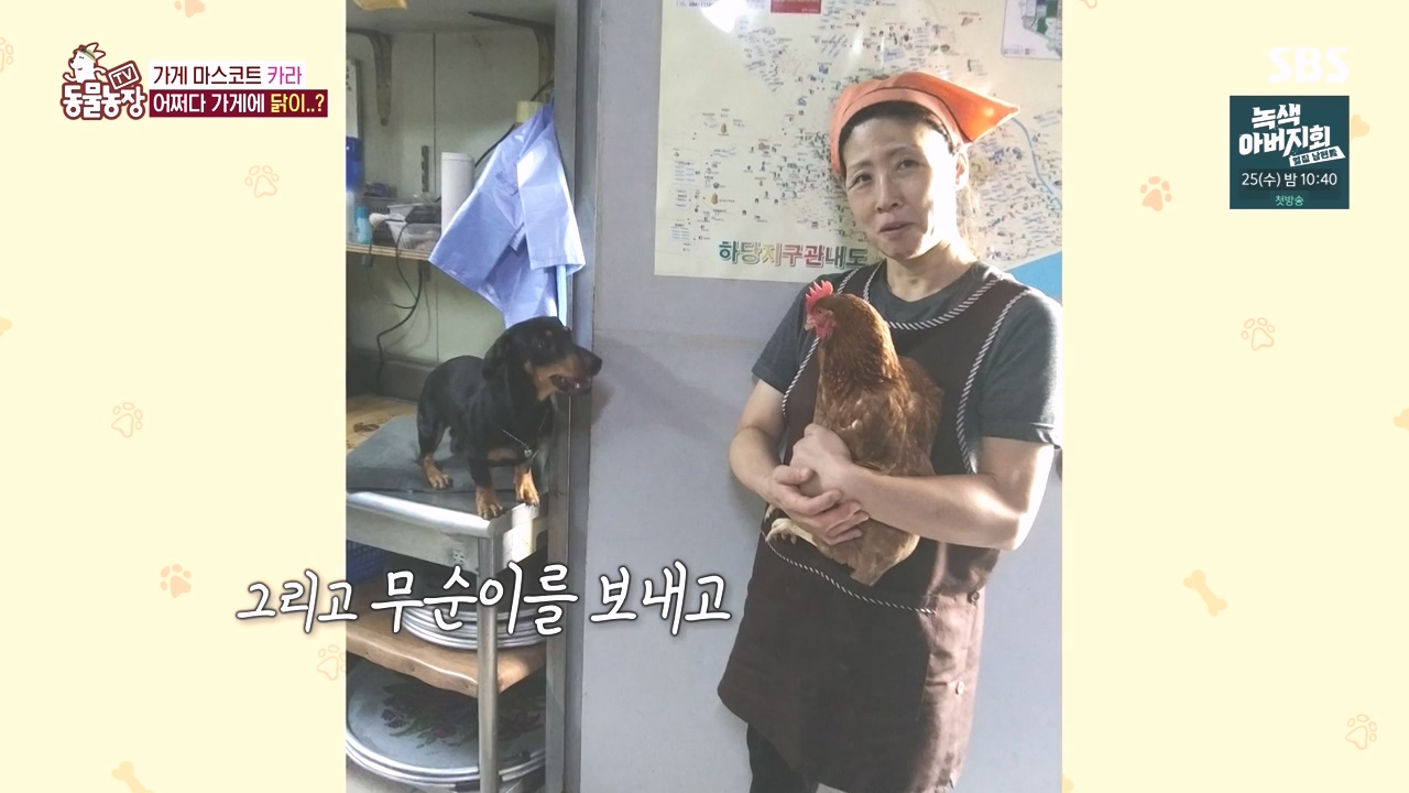 TV 동물농장.E1141.231016p-NEXT.mp4_20231015_173033.413.jpg