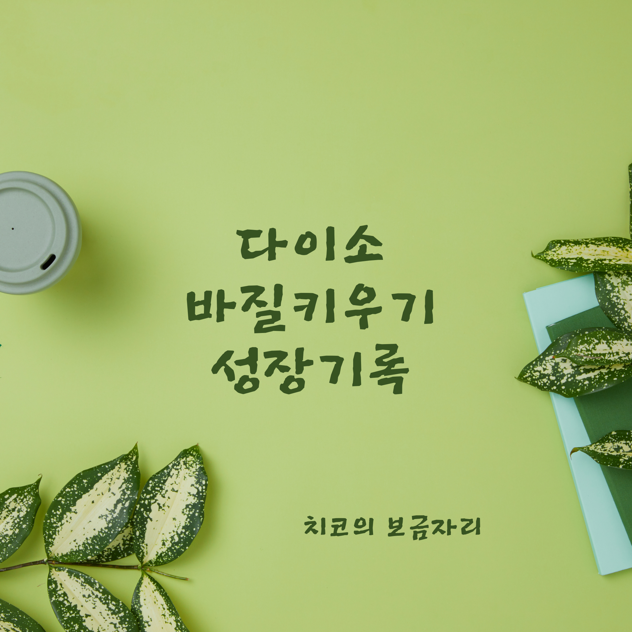  다이소 바질키우기 성장기록