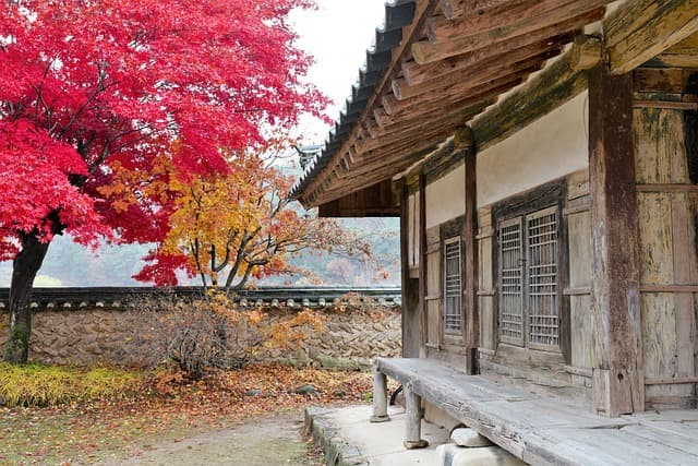 사찰 건축에서의 조화와 균형: 동양 철학을 반영한 설계