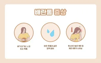 배란통 증상 및 시기 원인_5