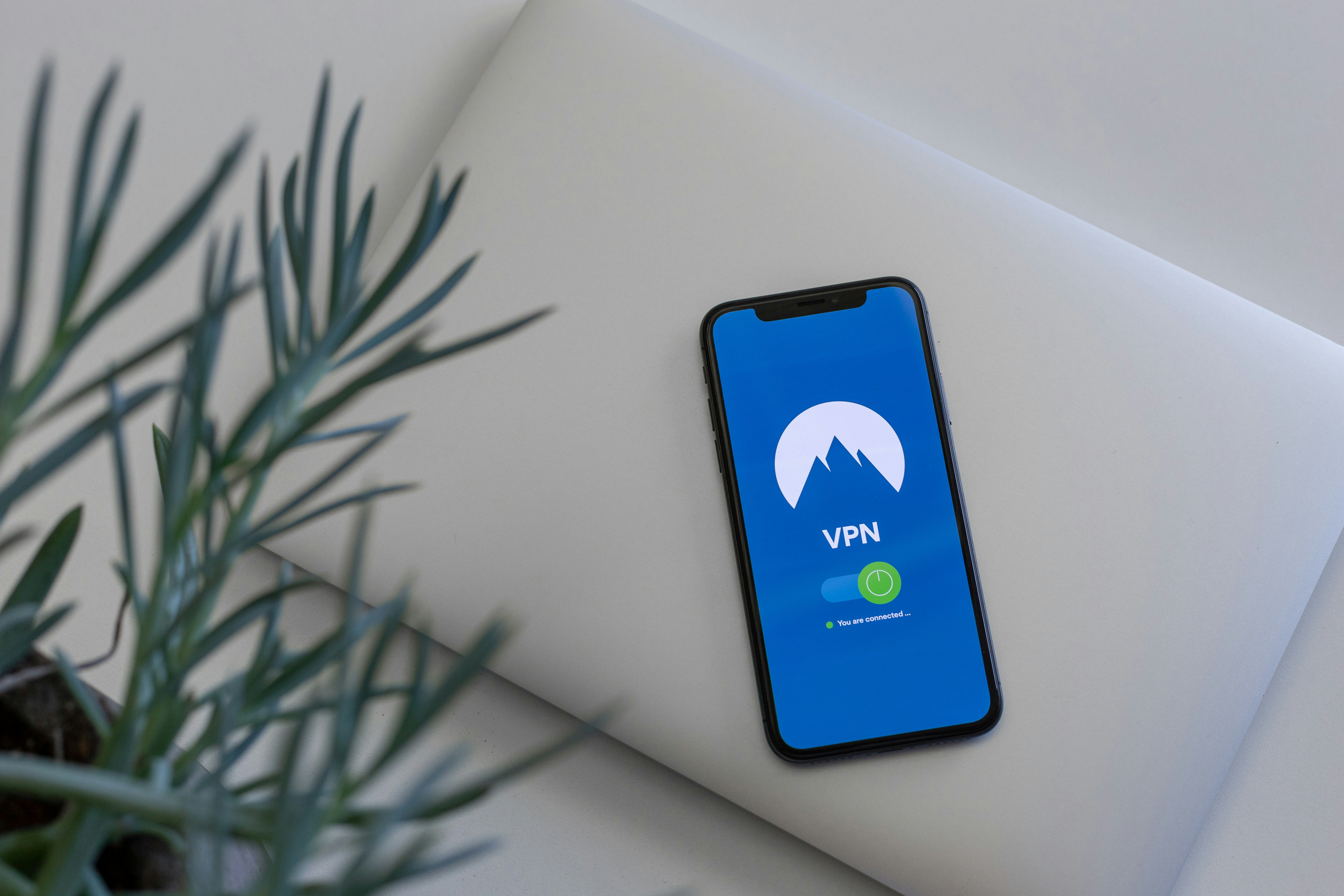 무료 VPN 사이트
