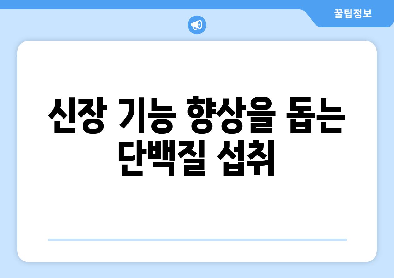 신장 기능 향상을 돕는 단백질 섭취