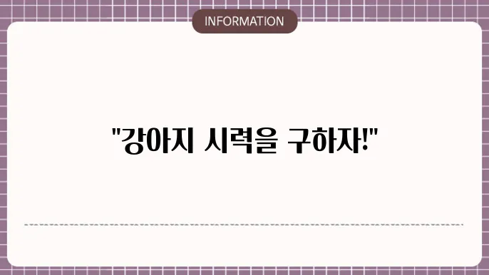 강아지 백내장 수술비용 개요