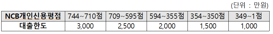 2차 소상공인 정책자금