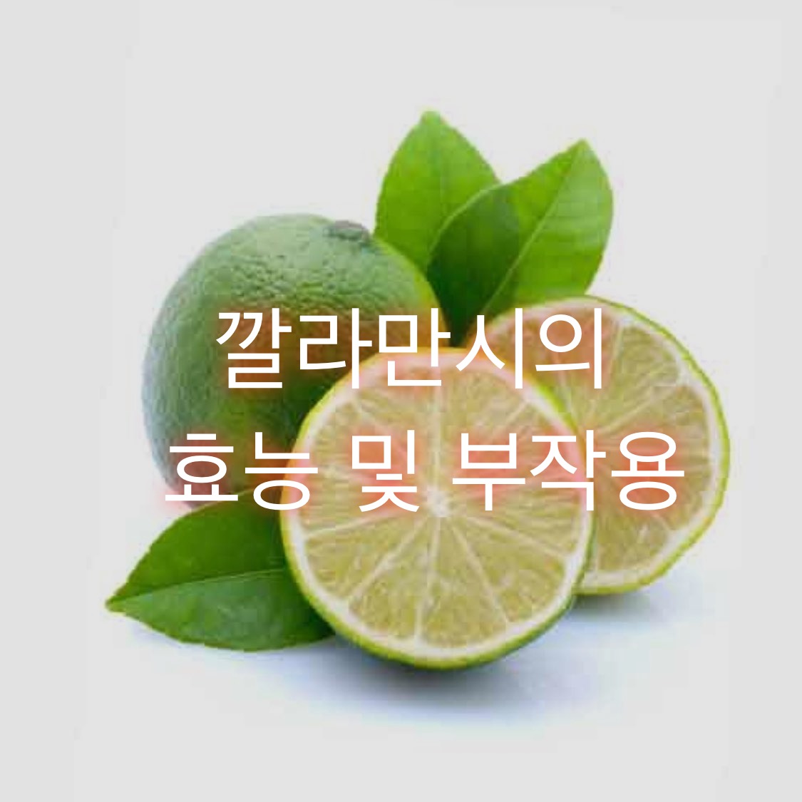  깔라만시의 효능 및 부작용