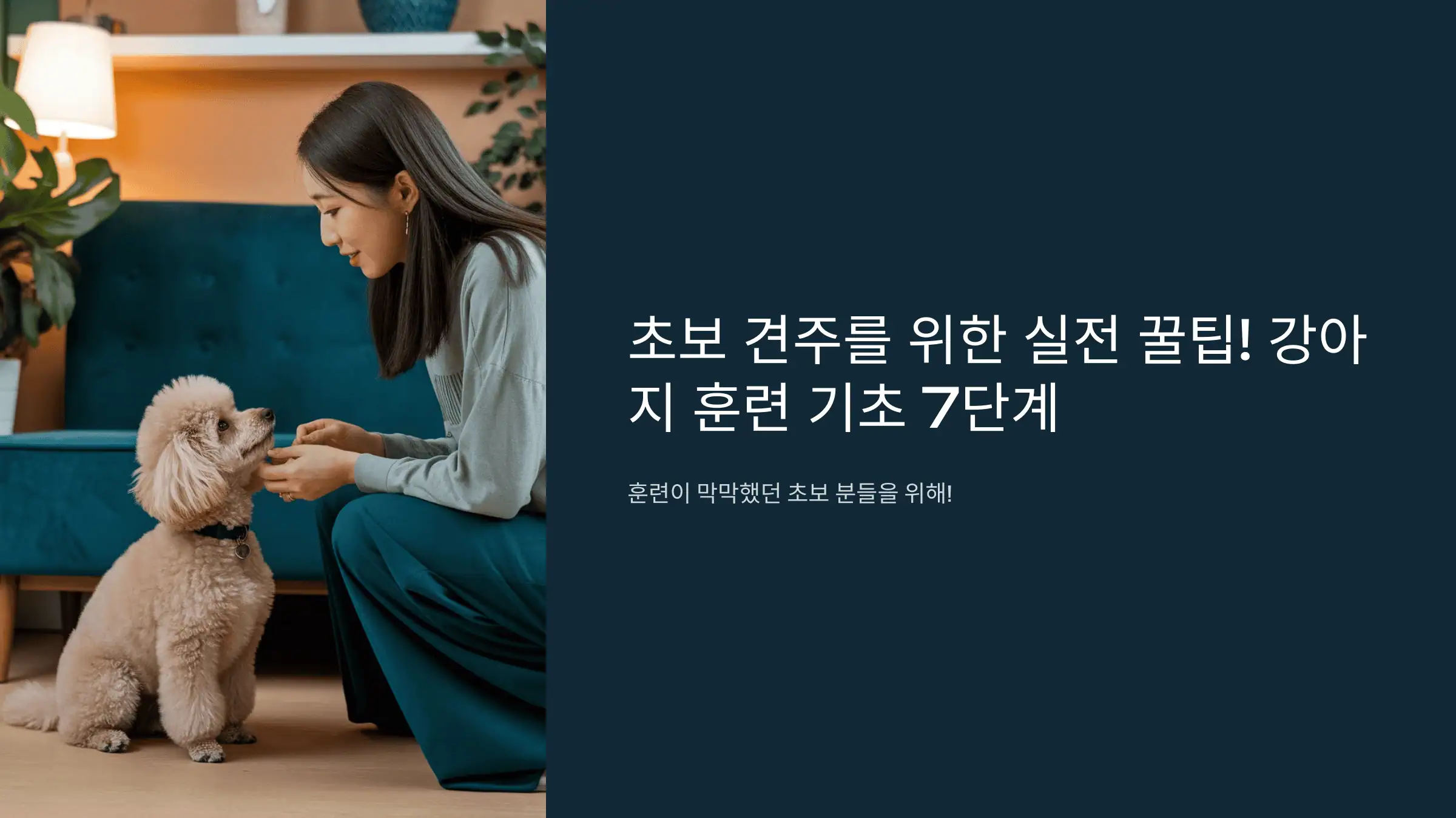 초보 견주를 위한 실전 꿀팁! 강아지 훈련 기초 7단계
