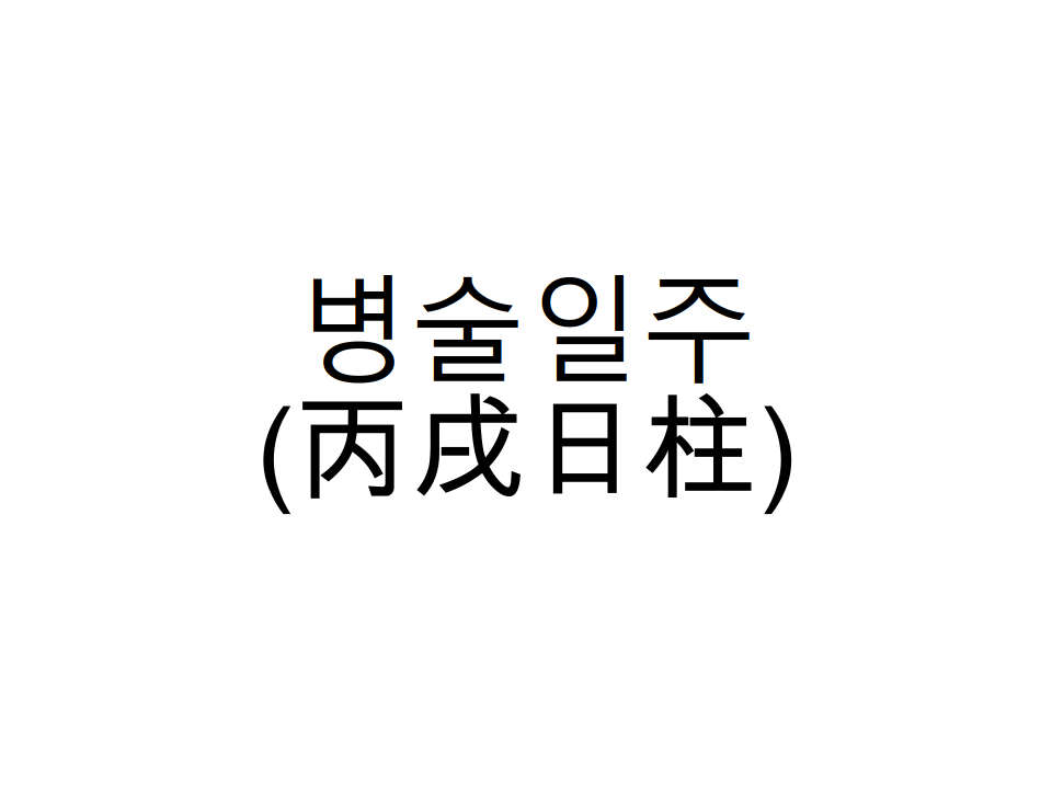  병술일주(丙戌日柱) 일주론 요약