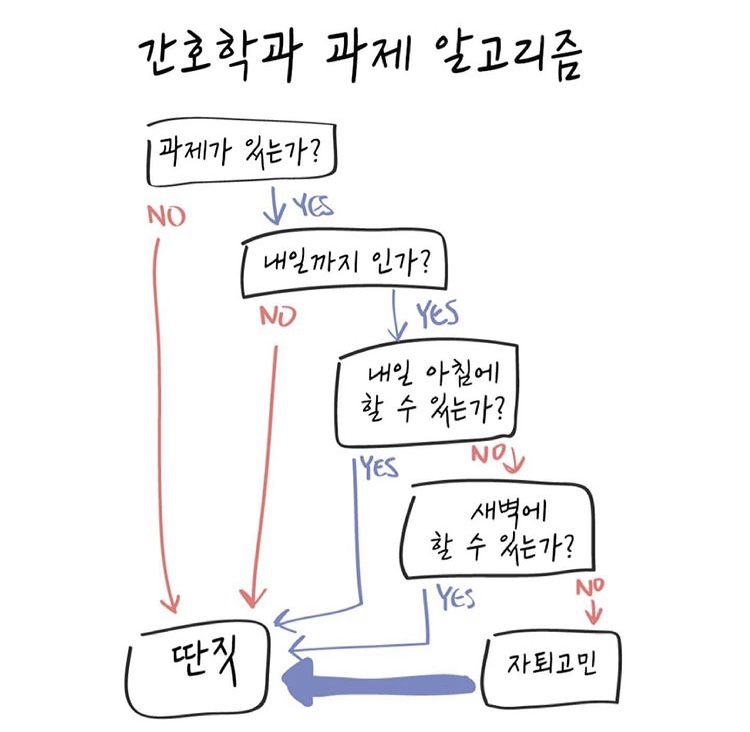  간호학과 과제 알고리즘
