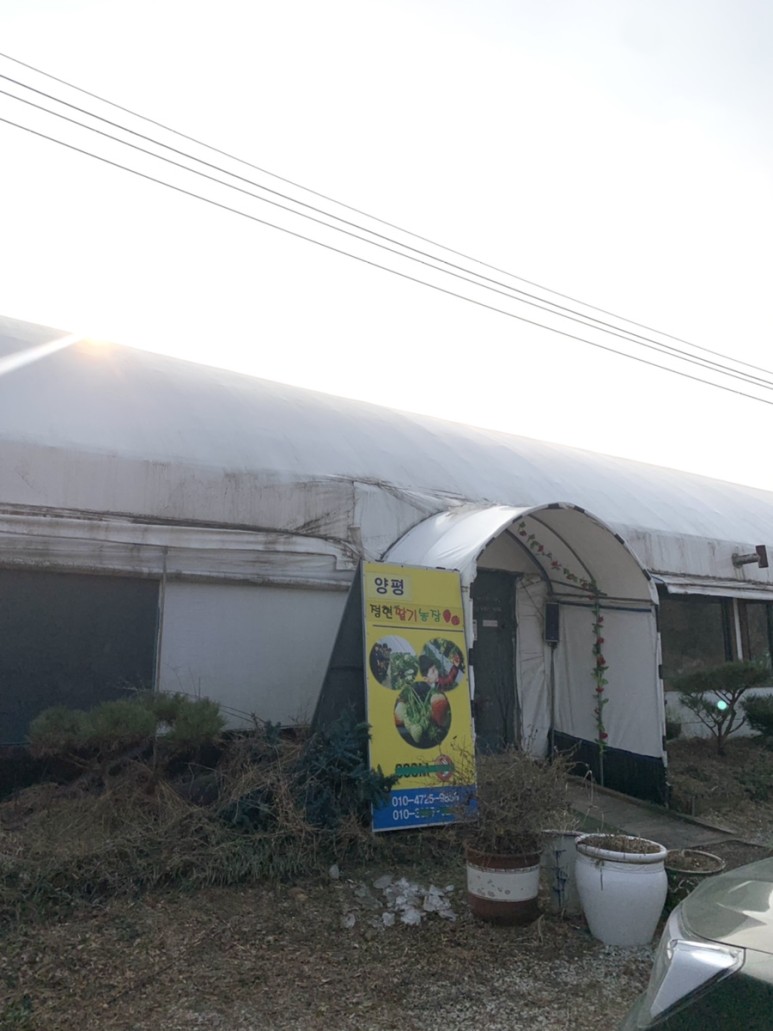 정현딸기농장, 19