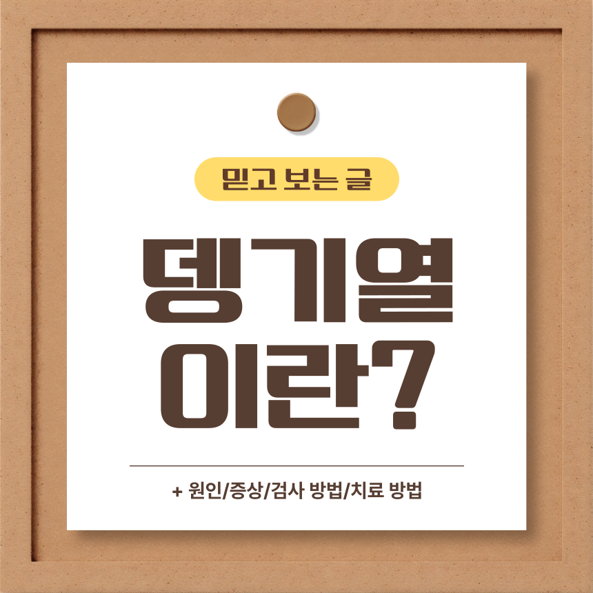  뎅기열 이란?