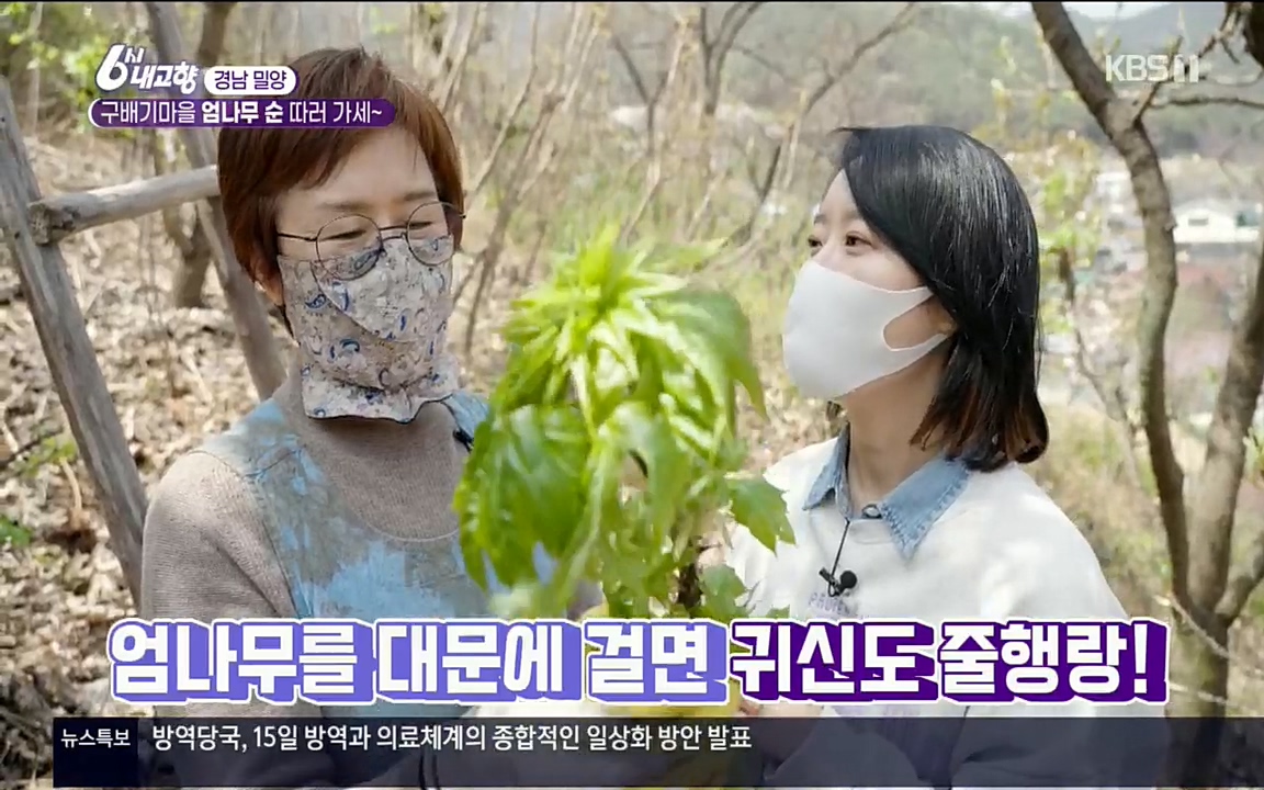 6시 내고향.E7510.220414p.H264-F1RST.mp4_20220419_182200.442.jpg