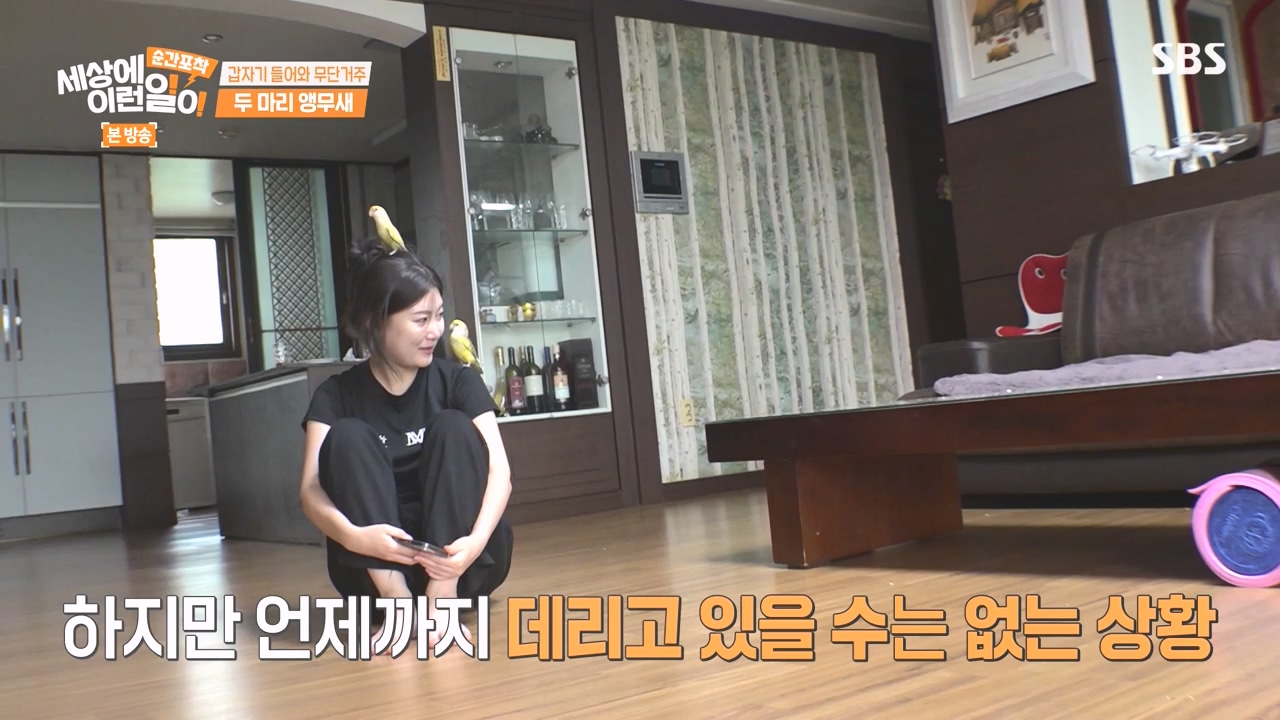 순간포착 세상에 이런일이.E1248.231015p-NEXT.mp4_20231015_164753.694.jpg