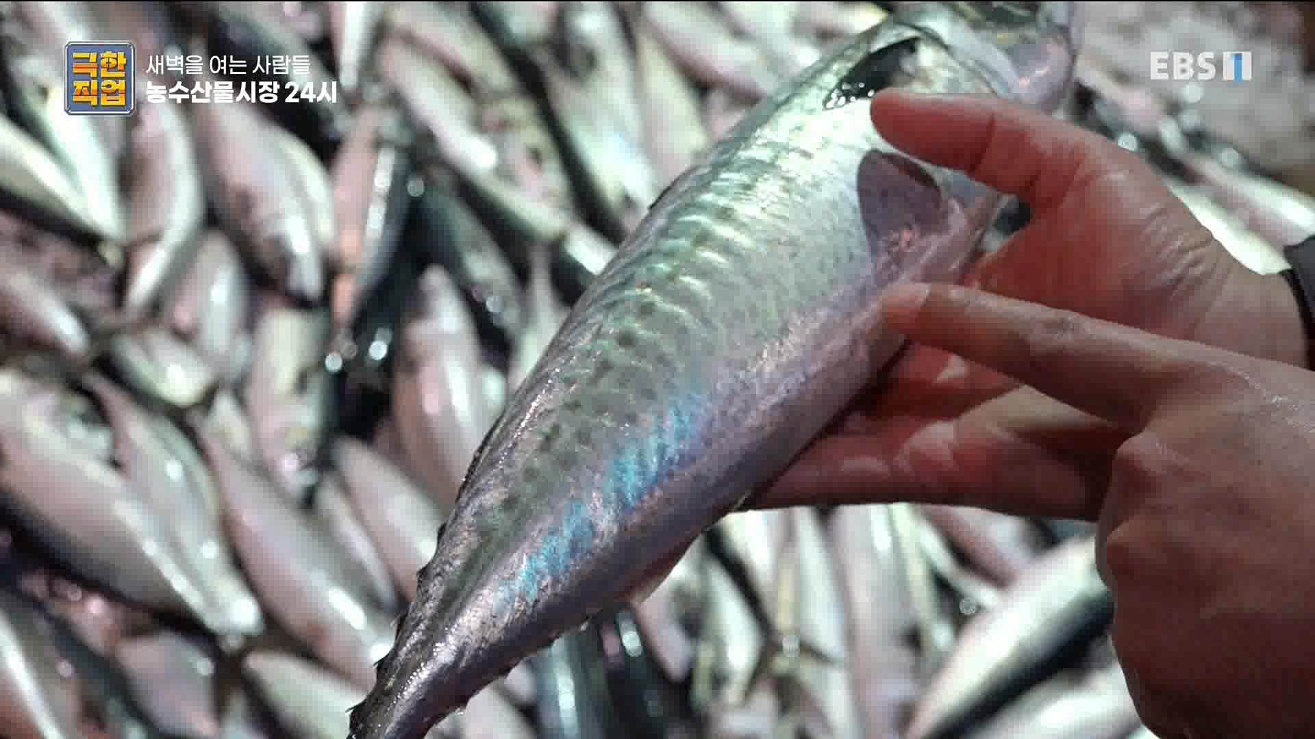 농수산물 시장 24시.mp4_20221020_161649.256.jpg