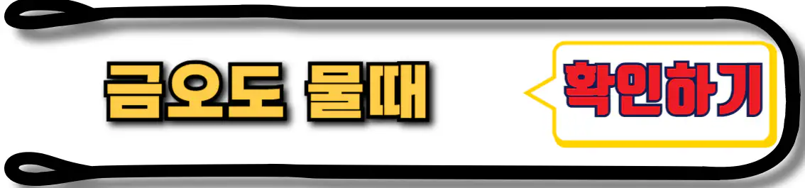 금오도 물때