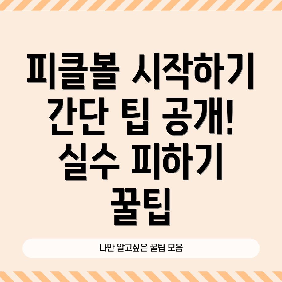 피클볼 입문