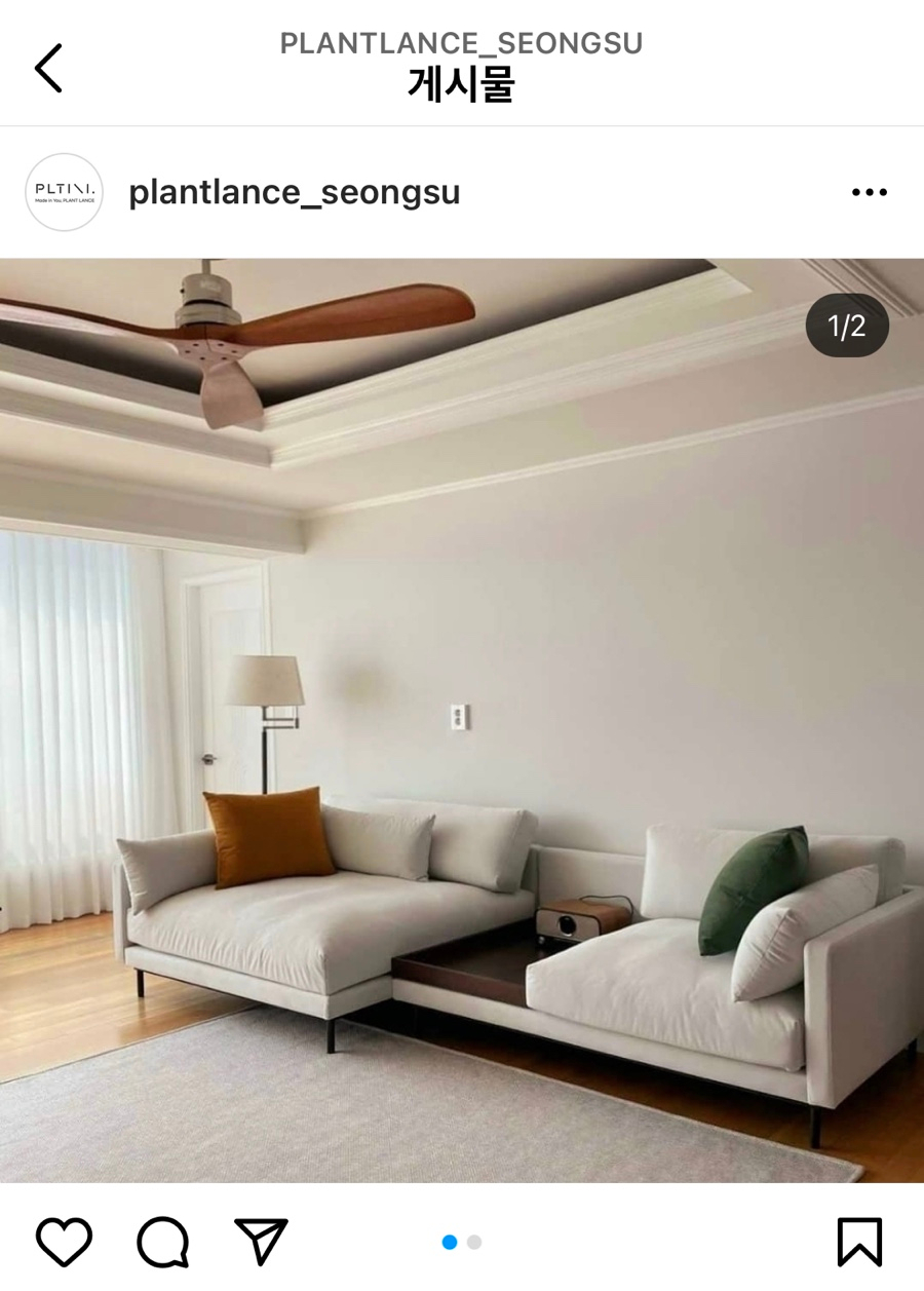 잭슨카멜레온, 플랜트란스 31