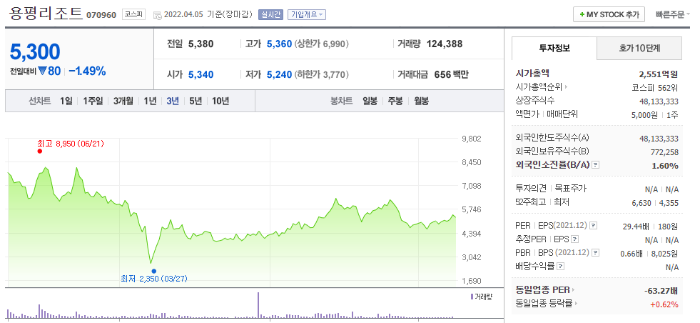 용평리조트 주식정보
