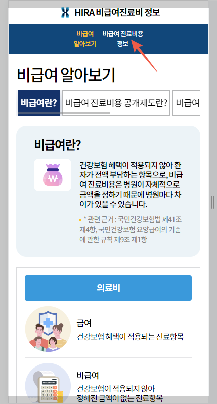 심사평가원 비급여 진료비 정보