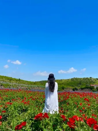제주 5월 여행 코스 추천 best 10_16