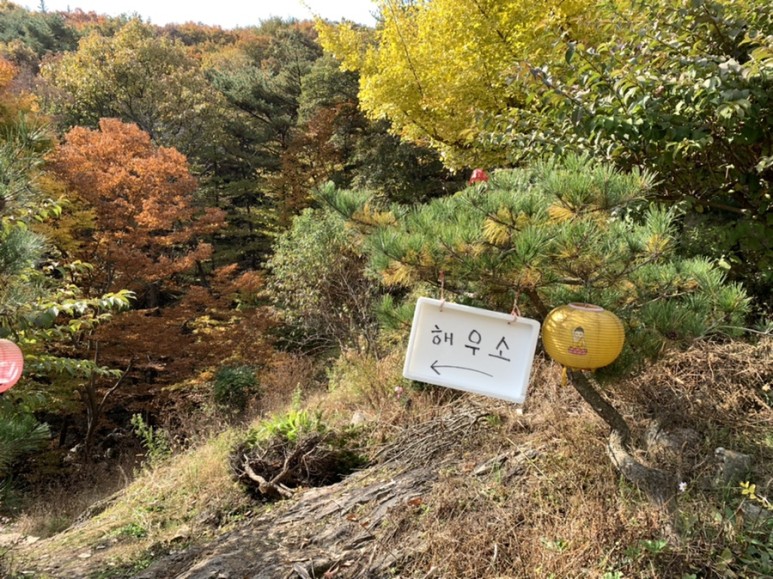 오서산 최단코스 [BAC 100대명산 / 보령 오서산 최단코스] 오서산자연휴양림 ~ 월정사 91