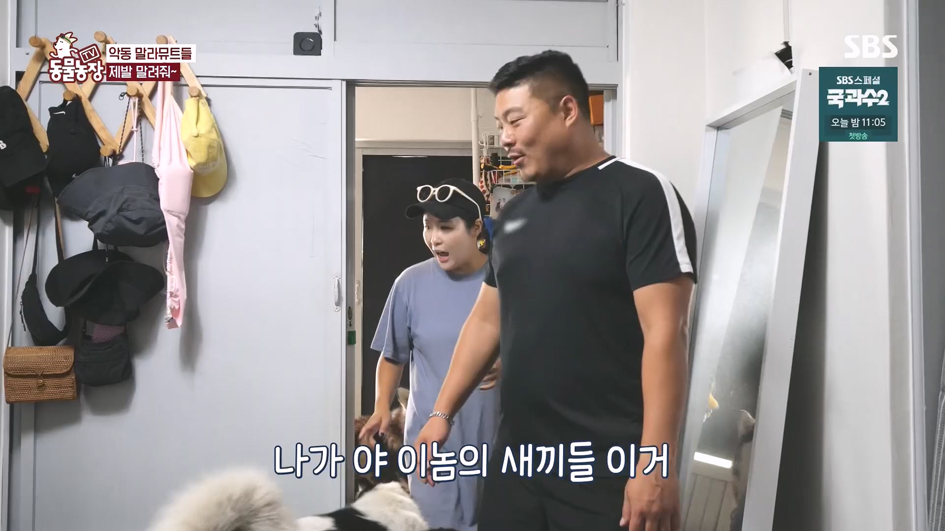 TV 동물농장.E1136.230903p.H264-F1RST.mp4_20230903_180337.848.jpg