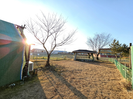 포항_애견_글램핑_올레애견펜션_겨울철_캠핑_후기